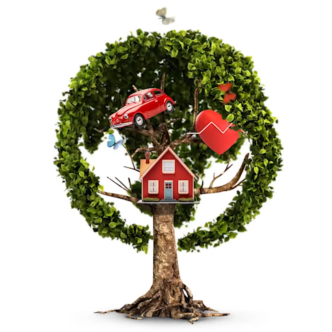 Arrière-plan d'un arbre